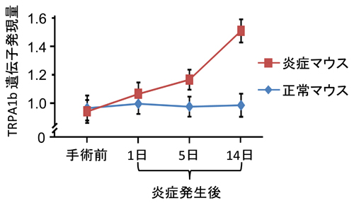 press20130906tominaga-2.jpg