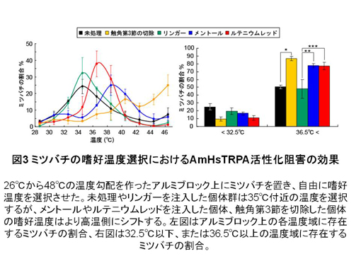 slide3_R.jpg