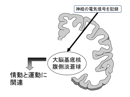 tachibana-1.jpg