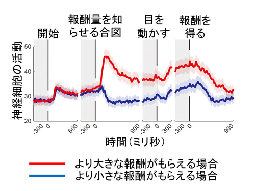 tachibana-2.jpg