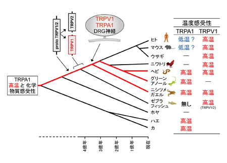 tominaga-2.jpg