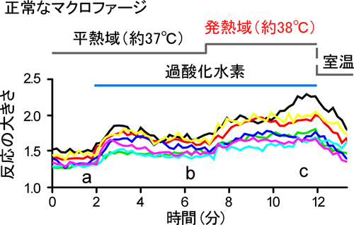 tominaga-meneki2-1.jpg