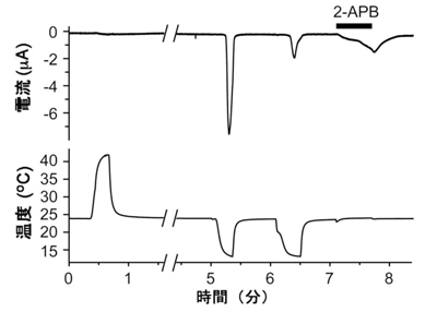 tominaga-zu1.jpg