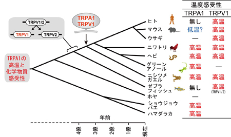 tominagaPress20140123-3.jpg