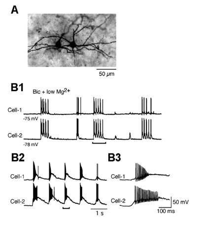 fig.1