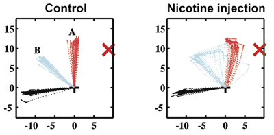 fig.3