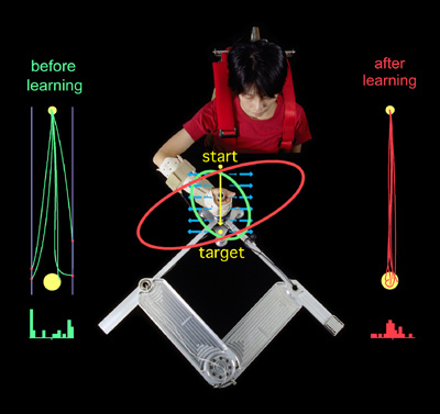 fig.3