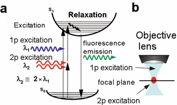 Fig.1