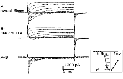 Fig.1