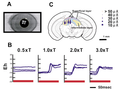 fig.2