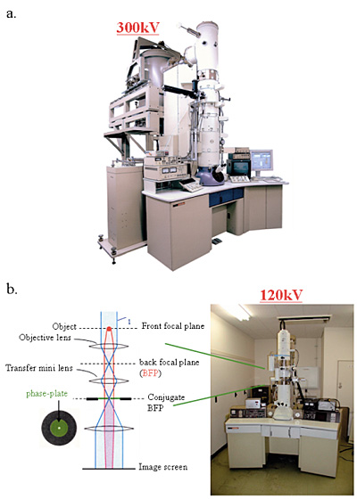 Fig.2