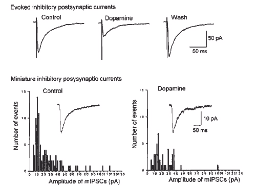 fig.2