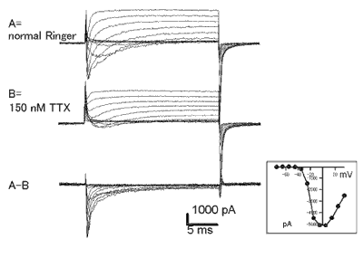 Fig.2