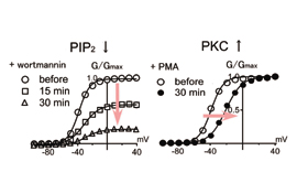 fig1