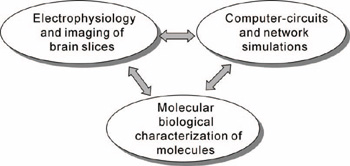 fig.1