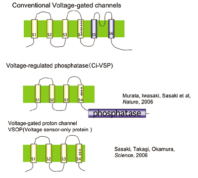 fig.2