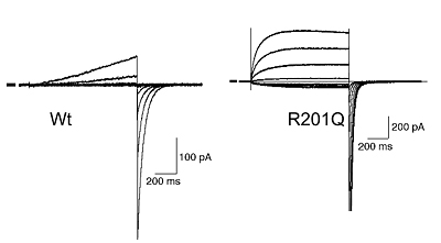 fig.2