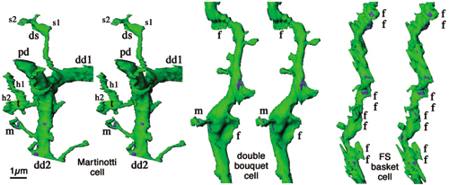 fig.5