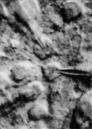 fig.2