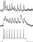 fig.2