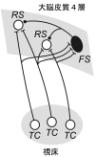 fig.2