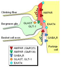fig.3