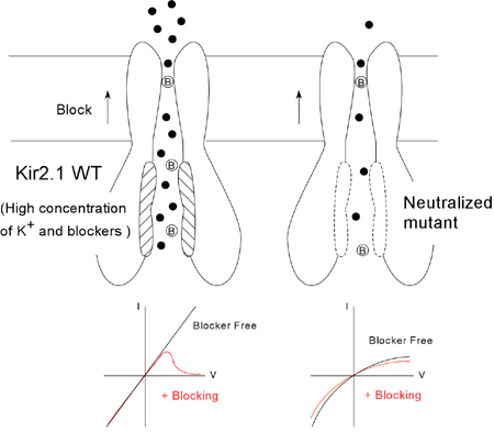 fig.1