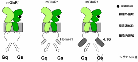 fig.2