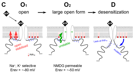 fig.4