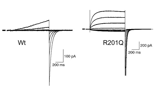 fig.3