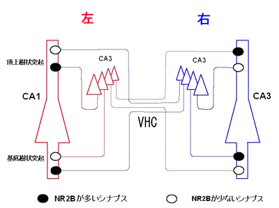 fig.2