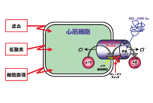 Fig. 3