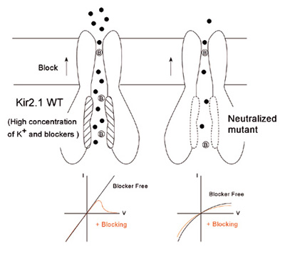 fig.1