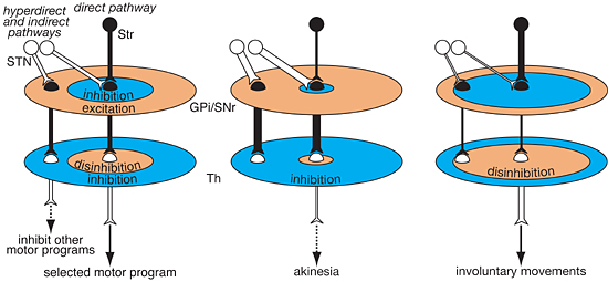 fig.1