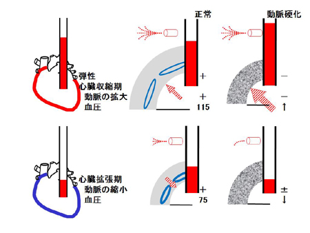 fig.2