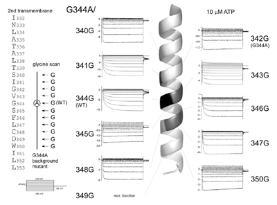 fig.1