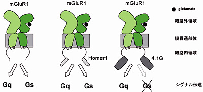 fig.2