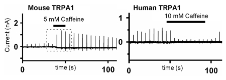 fig.4