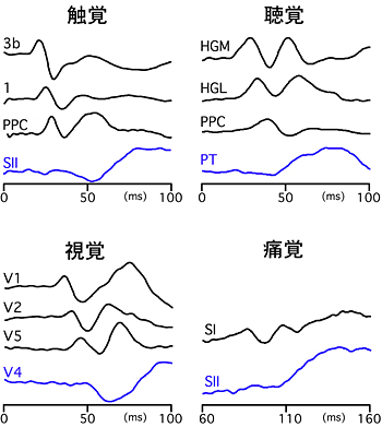 fig.2