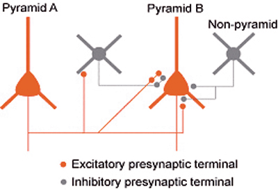 fig.2