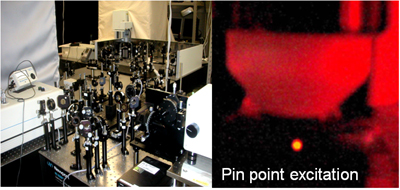 Mutiphoton excitation microscopy