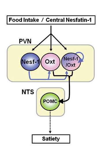 fig.3