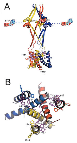 fig.1