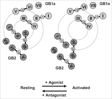 fig.2