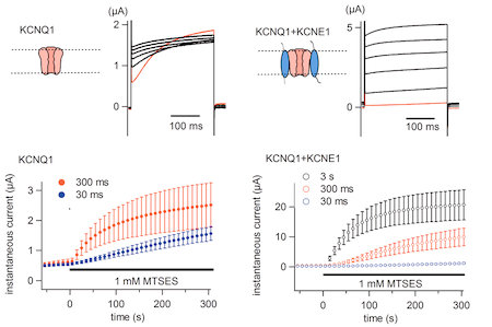 fig.3