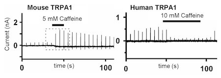 fig.4