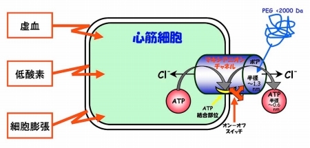 Fig. 4