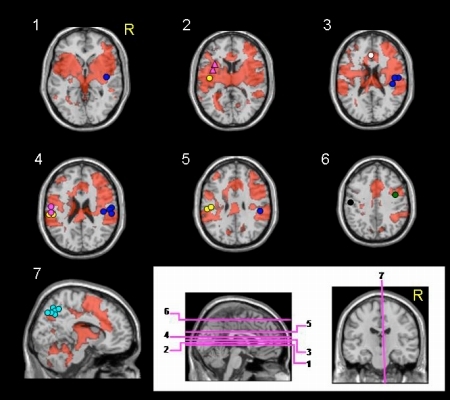 fig.3