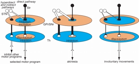 Basal Ganglia Model