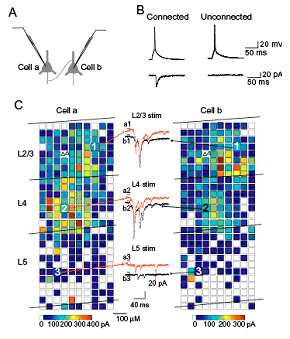 Fig.1